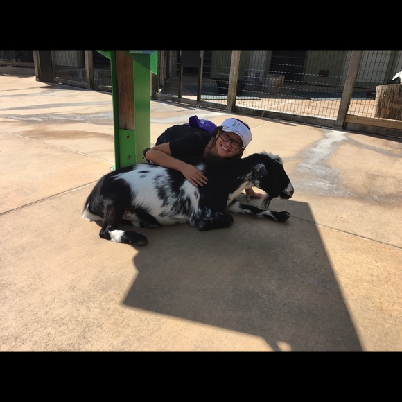 Meet your Posher, Kahlen - Picture 1 of 1